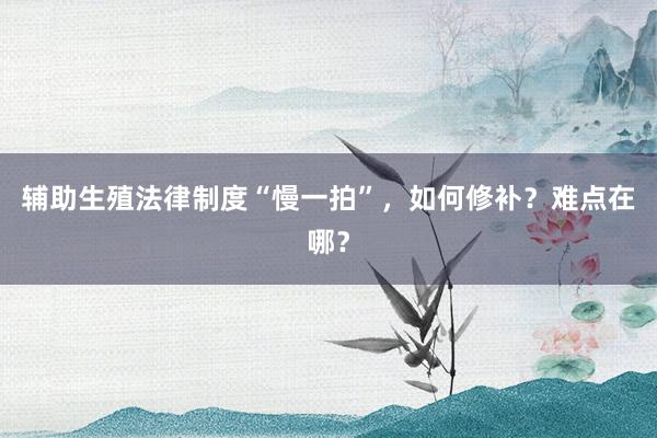辅助生殖法律制度“慢一拍”，如何修补？难点在哪？