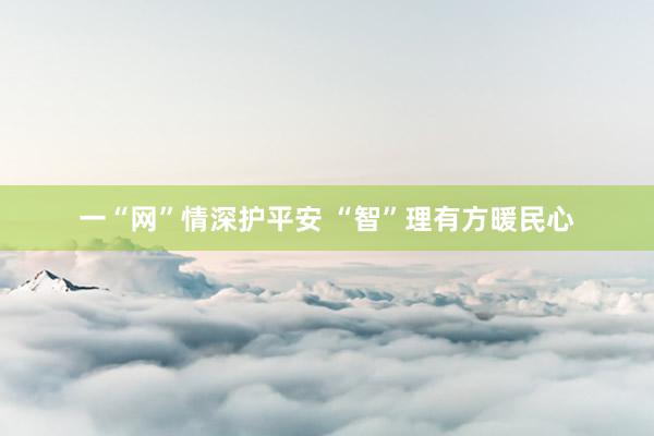 一“网”情深护平安 “智”理有方暖民心