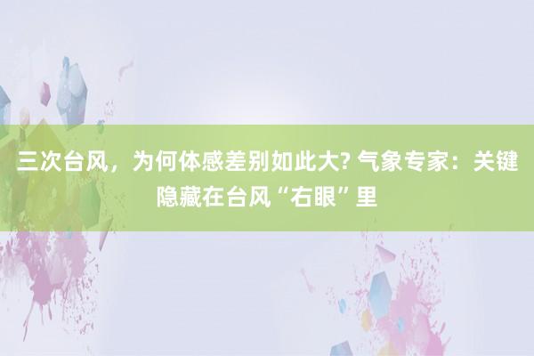三次台风，为何体感差别如此大? 气象专家：关键隐藏在台风“右眼”里