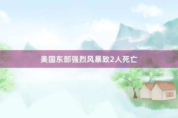 美国东部强烈风暴致2人死亡