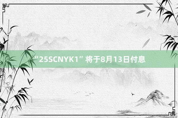 “25SCNYK1”将于8月13日付息
