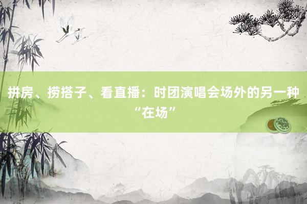 拼房、捞搭子、看直播：时团演唱会场外的另一种“在场”
