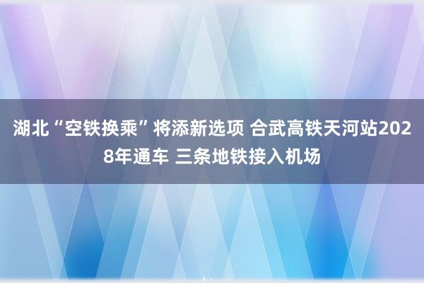 湖北“空铁换乘”将添新选项 合武高铁天河站2028年通车 三条地铁接入机场