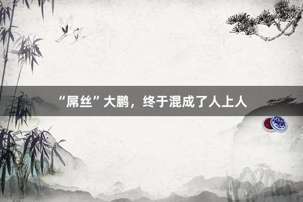 “屌丝”大鹏，终于混成了人上人