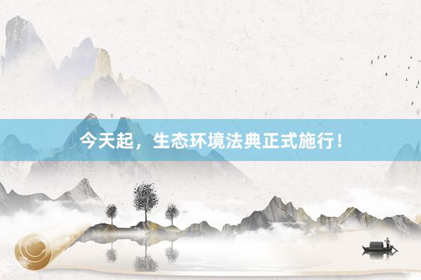 今天起，生态环境法典正式施行！