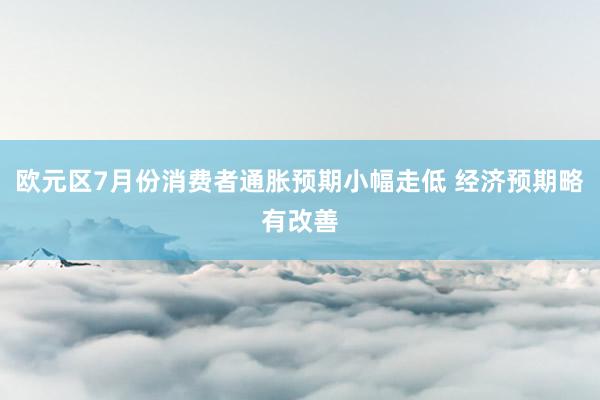 欧元区7月份消费者通胀预期小幅走低 经济预期略有改善