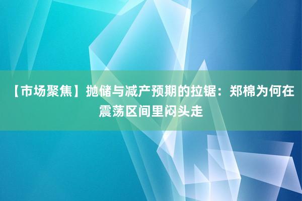 【市场聚焦】抛储与减产预期的拉锯：郑棉为何在震荡区间里闷头走