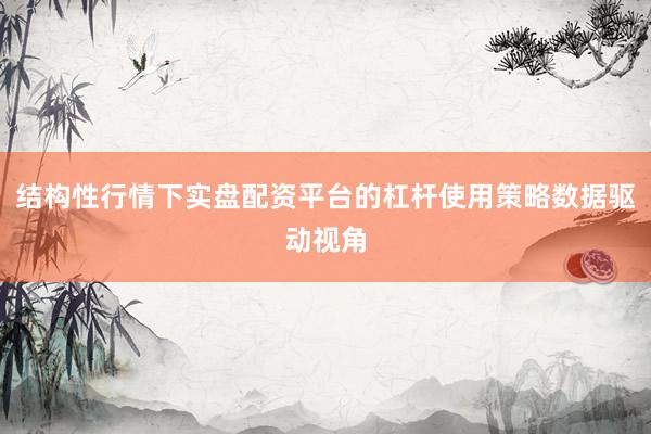 结构性行情下实盘配资平台的杠杆使用策略数据驱动视角