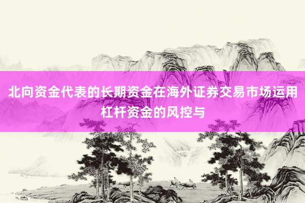 北向资金代表的长期资金在海外证券交易市场运用杠杆资金的风控与
