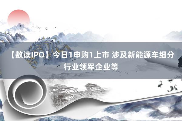 【数读IPO】今日1申购1上市 涉及新能源车细分行业领军企业等
