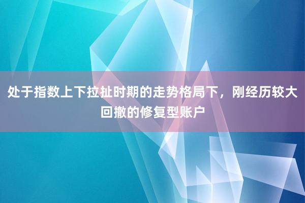 处于指数上下拉扯时期的走势格局下，刚经历较大回撤的修复型账户
