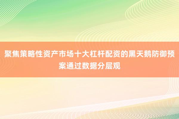 聚焦策略性资产市场十大杠杆配资的黑天鹅防御预案通过数据分层观