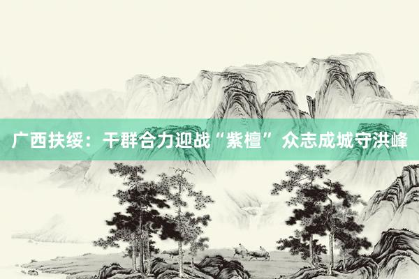 广西扶绥：干群合力迎战“紫檀” 众志成城守洪峰
