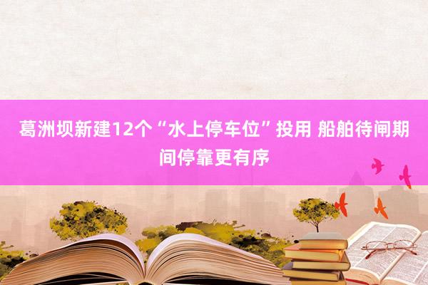 葛洲坝新建12个“水上停车位”投用 船舶待闸期间停靠更有序
