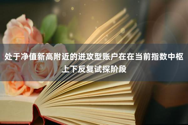 处于净值新高附近的进攻型账户在在当前指数中枢上下反复试探阶段