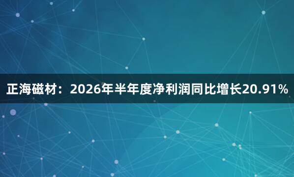正海磁材：2026年半年度净利润同比增长20.91%