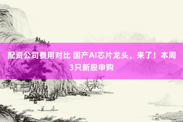 配资公司费用对比 国产AI芯片龙头，来了！本周3只新股申购