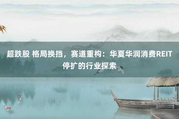 超跌股 格局换挡，赛道重构：华夏华润消费REIT停扩的行业探索
