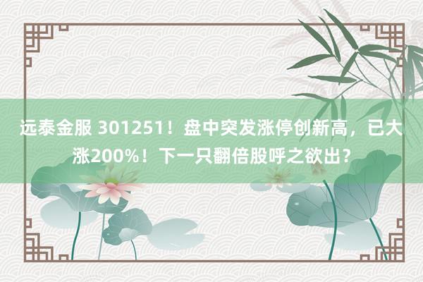 远泰金服 301251！盘中突发涨停创新高，已大涨200%！下一只翻倍股呼之欲出？