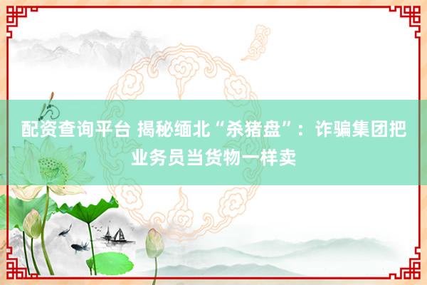 配资查询平台 揭秘缅北“杀猪盘”：诈骗集团把业务员当货物一样卖