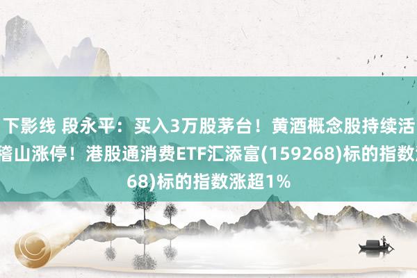 下影线 段永平：买入3万股茅台！黄酒概念股持续活跃，会稽山涨停！港股通消费ETF汇添富(159268)标的指数涨超1%
