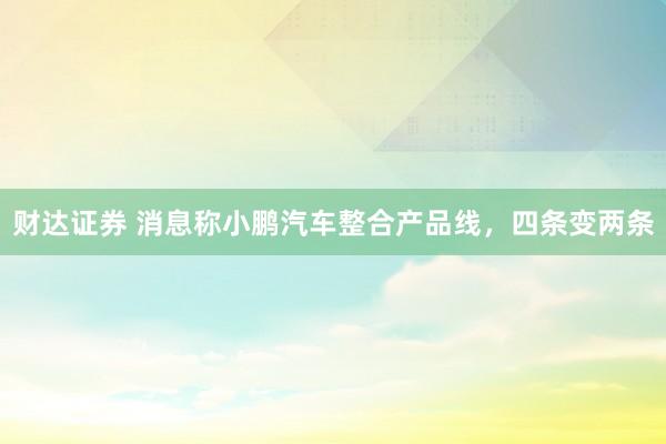 财达证券 消息称小鹏汽车整合产品线，四条变两条