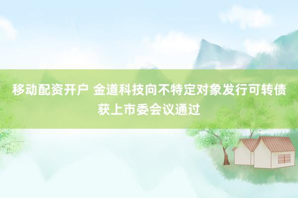 移动配资开户 金道科技向不特定对象发行可转债获上市委会议通过
