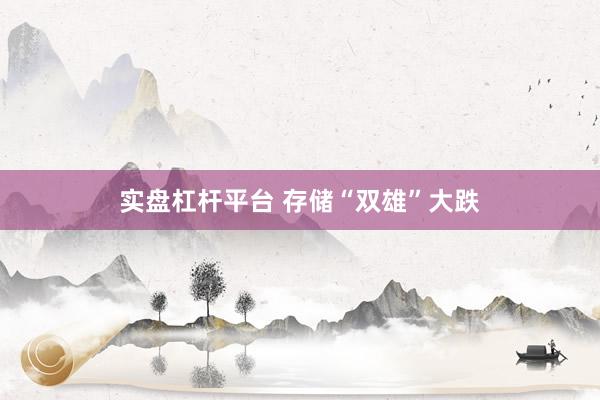 实盘杠杆平台 存储“双雄”大跌