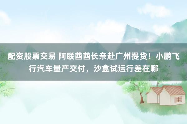 配资股票交易 阿联酋酋长亲赴广州提货！小鹏飞行汽车量产交付，沙盒试运行差在哪